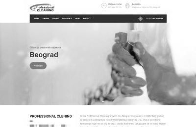 izrada sajta za Professional Cleaning Service